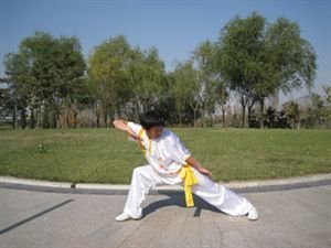 武术套路竞技项目之小洪拳